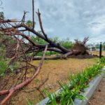 LA GRAN TORMENTA – Los Cardos vivió una pesadilla de domingo