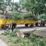 TRAS LA TORMENTA – Limpieza sin descanso en cada barrio