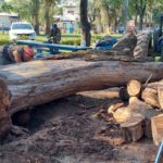 TRAS LA TORMENTA – Trebolense trabaja intensamente su campo de deportes