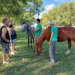 Se abren las inscripciones para “Equinoterapia”