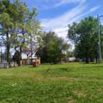MUSICA EN TU BARRIO – Se viene un domingo con circo y shows en la “Plaza de los sueños”