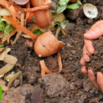 Se lanza «Compostaje El Trébol»