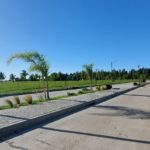 24 DE ENERO DE CARLOS PELLEGRINI – Rotonda, una cuadra más y mejoras para calle Güemes