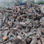La Municipalidad distribuye leña proveniente de residuos verdes