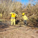 Incendio detrás del Hogar Canino