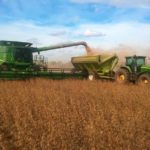 La soja profundiza su caída y se aleja de los precios récord
