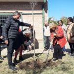 DÍA DEL ÁRBOL – Se plantó un crespón blanco en el “Chalecito”