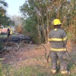 Incendio en un baldío de calle Colón