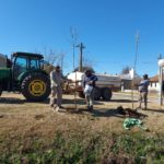 La Comuna de Los Cardos, plantó más de un centenar de árboles en el casco urbano