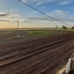 Robaron cables en el Circuito Municipal