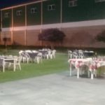 HOY – Noche de circo bajo las estrellas en El Expreso