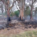 FIN DE SEMANA – Arduo trabajo de Bomberos
