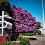 SASTRE – Comienza la obra de remodelación de plaza central