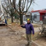 Tareas de poda y mantenimiento del arbolado público