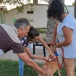 SÁBADO – Vacunación antirrábica masiva y gratuita en la Escuela Paso