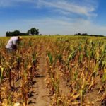 Sequía: «Estamos preocupados, no son alentadores los pronósticos