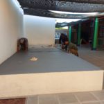 FAE – Trabajos de engomado para el escenario del Jardín de infantes de Los Cardos