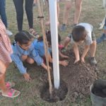 EL TREBOL – El Municipio suma programas para multiplicar el arbolado en la ciudad