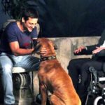 ESTE MIERCOLES – Vuelve el “Cine bajo las estrellas” El Trébol