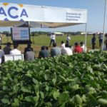 Jornada a campo abierto, con traslado gratuito desde la Cooperativa