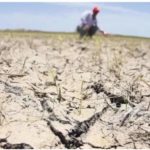 Este verano fue el tercero más seco en Argentina desde 1961