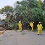 Lo embolsó el viento y se derrumbó en plena vía pública
