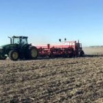 En El Trébol, la siembra de trigo se redujo alrededor de un 30%