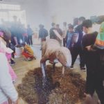 MUSEO MUNICIPAL – Finalizó la espectacular muestra Megafauna latinoamericana