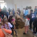 DINOSAURIOS – Exitosa muestra en el Museo Municipal