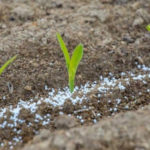 NUTRIENTES – Cómo inscribirse para recibir hasta 5 Tn de fertilizantes