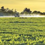 La Corte Suprema de Justicia de Santa Fe falló y prohíbe agroquímicos a menos de 1000 metros de Sastre