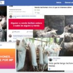 ALERTA ALIMENTARIA – Se desaconseja la compra de productos alimenticios no seguros en redes sociales
