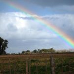 El Niño se hará notar en el verano y comenzará a debilitarse en otoño