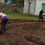 Huerta “Fátima”, una iniciativa que se hace realidad
