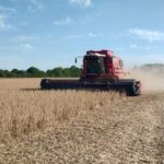 Avanza la cosecha de soja y aumentan las ventas