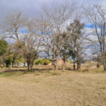 BANCO DE TIERRAS – Salen a la venta diez lotes para viviendas