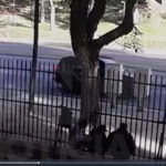 Un ciclista de El Trébol fallece en un accidente en Rosario