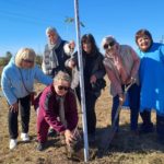 La promo ’71 de la Escuela Media se suma al “Bosque de los egresados”