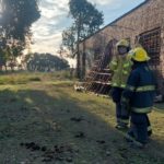 INTENTO DE RESCATE – El caballito no resistió y murió en el piletón