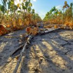 Anticipan la llegada del fenómeno de La Niña