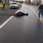 Accidente sobre Ruta 13