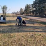 DIA DEL ARBOL – Comenzó un intenso plantado de árboles en la ciudad