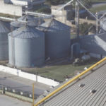 Con la harina de soja, Argentina vuelve a liderar
