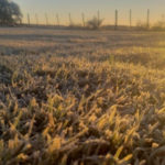 Campaña gruesa: el clima juega su partido