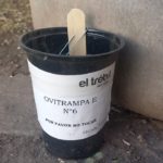 DENGUE – Se instalaron “ovitrampas” para la detección del mosquito