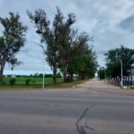 Iluminación del acceso del cementerio y 600 metros de Manuel Losada