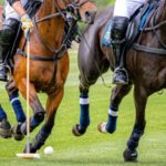 HOMENAJE A JUAN B. MILES – Se viene un gran torneo de polo a la ciudad de El Trébol