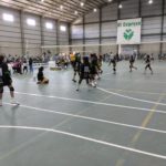 Gran convocatoria del primer abierto de voley «Bicho Verde»