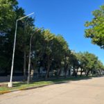Se completó la colocación de columnas en calle Rosario