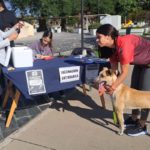 Más de 400 mascotas ya recibieron la vacuna antirrábica